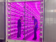 Smart Planting 1